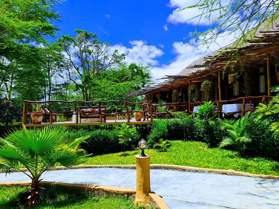 Open thatched terrace among acacia woodland