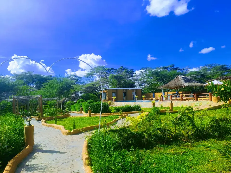 Swimming pool and thatched pool bar