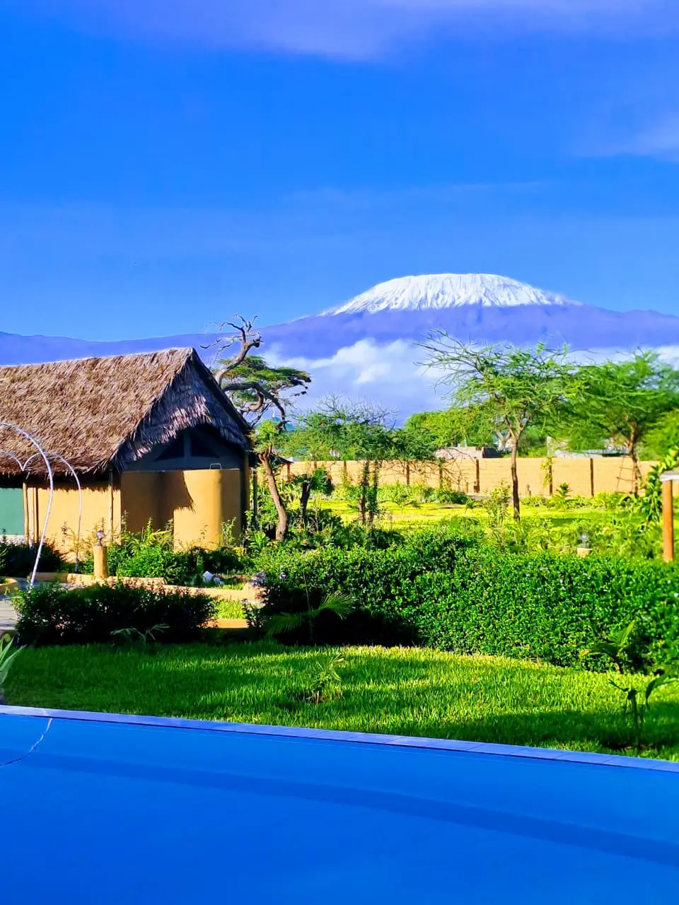 Mt. Kilimanjaro rising beyond the lodge gardens